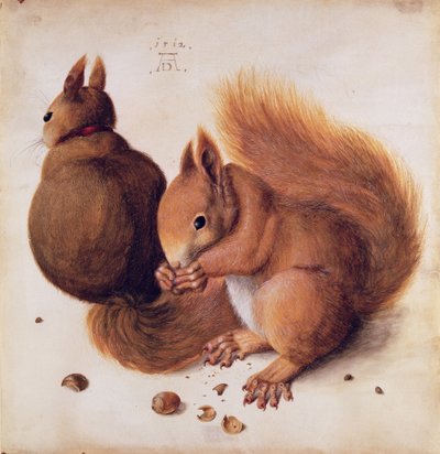 Squirrels, 1512 by Albrecht Dürer